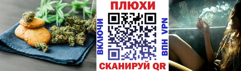 Canna-Cookies марихуана  Большой Камень 