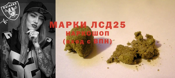 PSILOCYBIN Алексин