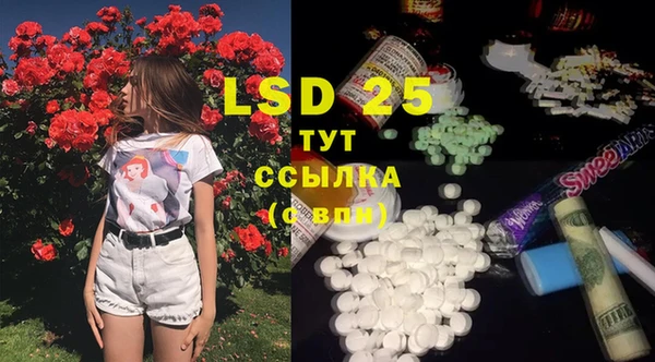 PSILOCYBIN Алексин