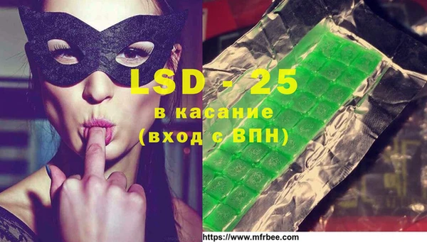 эйфоретик Алзамай