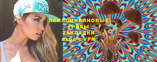 эйфоретик Алзамай