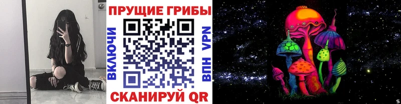 Псилоцибиновые грибы GOLDEN TEACHER Большой Камень
