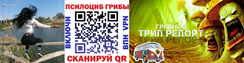 Галлюциногенные грибы мухоморы  Большой Камень 